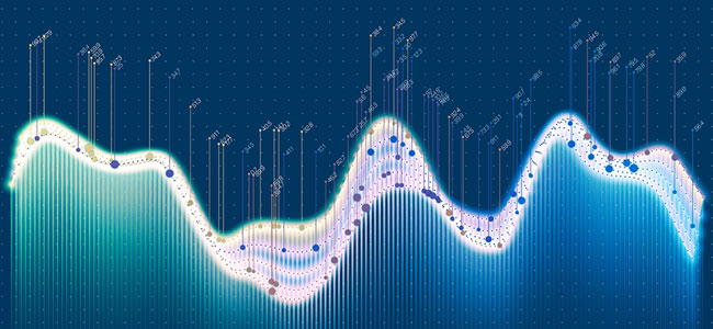 Visual Analytics for High Dimensional Data Sets