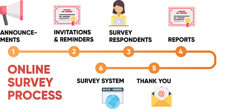 How Surveys Work