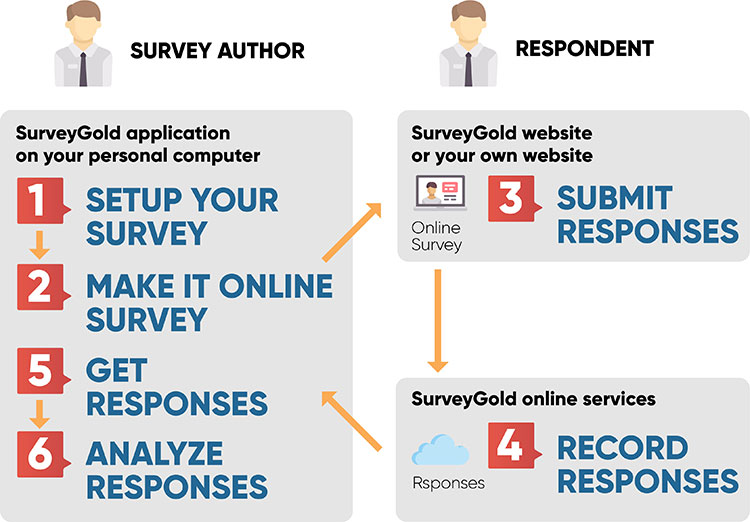 Online Surveys