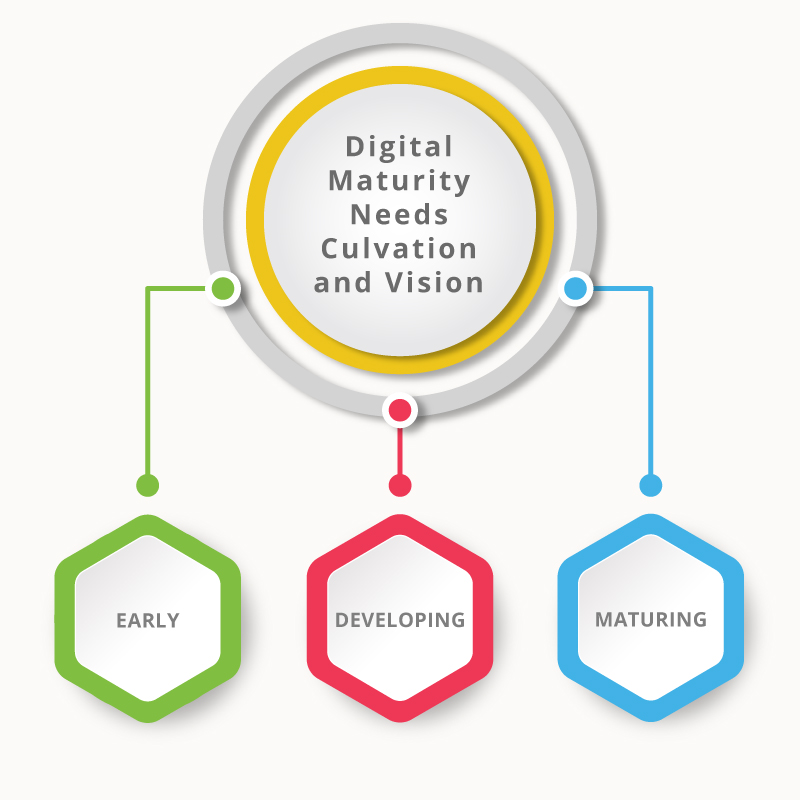 Digital maturity needs culvation and vision