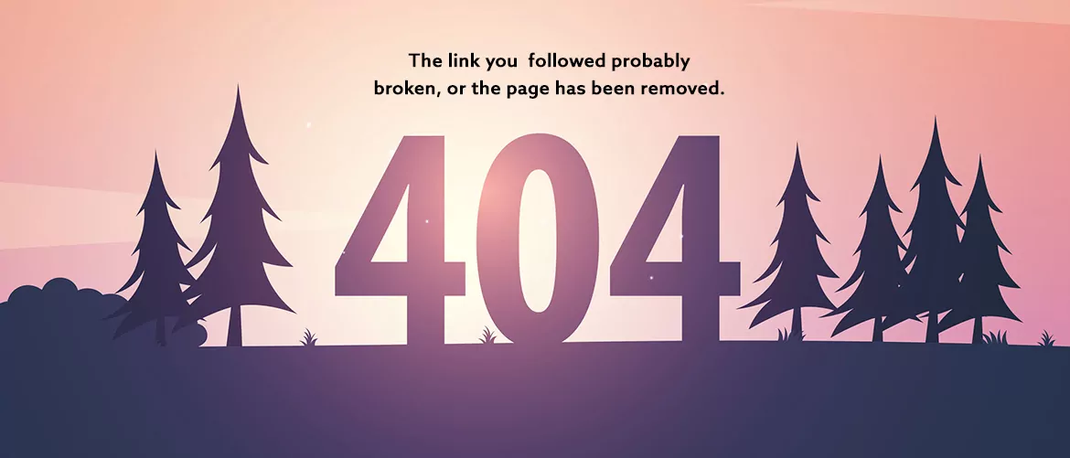 404 Error Banner